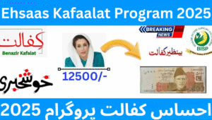 Read more about the article Ehsaas Kafaalat Program 2025 – Official Guide to Rs. 10,500 Cash Aid for Poor Women