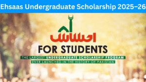 Read more about the article Ehsaas Undergraduate Scholarship 2025–26 – Apply Online, Eligibility & Last Date