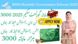 Read more about the article What is 3000 Monthly Government Scheme 2025 – The Ultimate Guide to Pakistan’s Supportive Income Plan