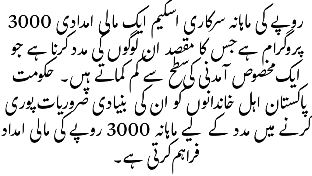What is 3000 Monthly Government Scheme 2025 – The Ultimate Guide to Pakistan’s Supportive Income Plan