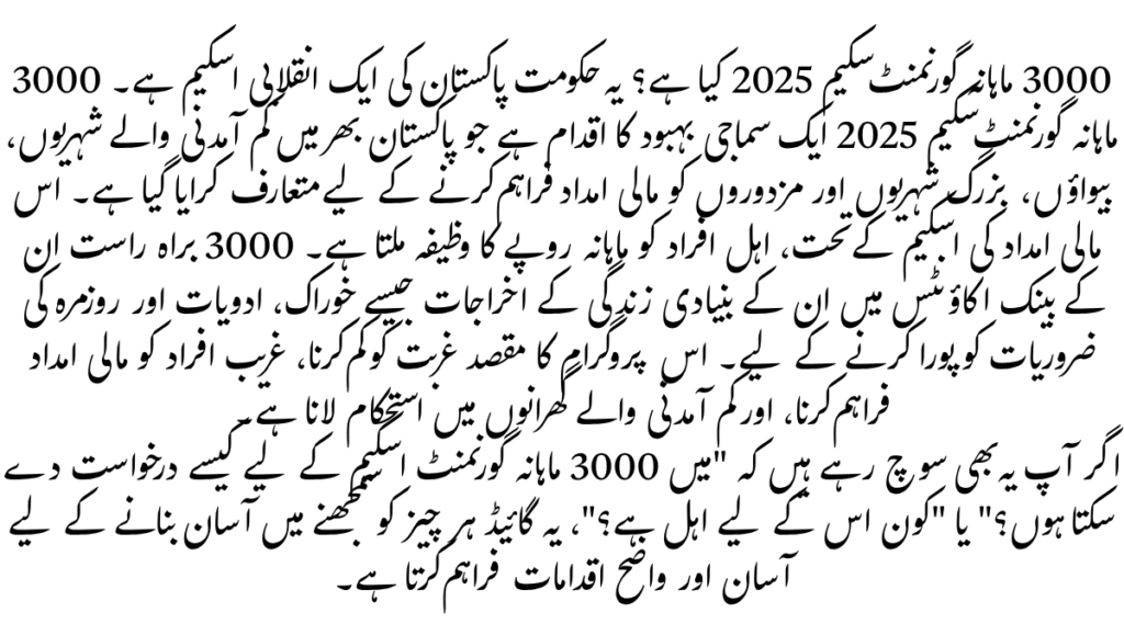 What is 3000 Monthly Government Scheme 2025 – The Ultimate Guide to Pakistan’s Supportive Income Plan