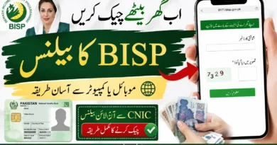 How to Check BISP Balance Online by CNIC 2026 Step Guide