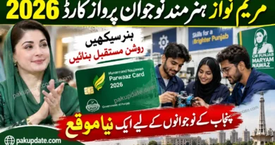 Maryam Nawaz Hunarmand Naujawan Parwaaz Card 2026