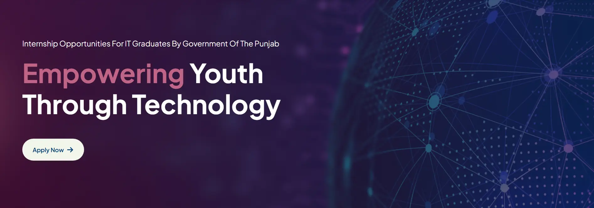 Internship Opportunities for IT graduates by Government of the Punjab